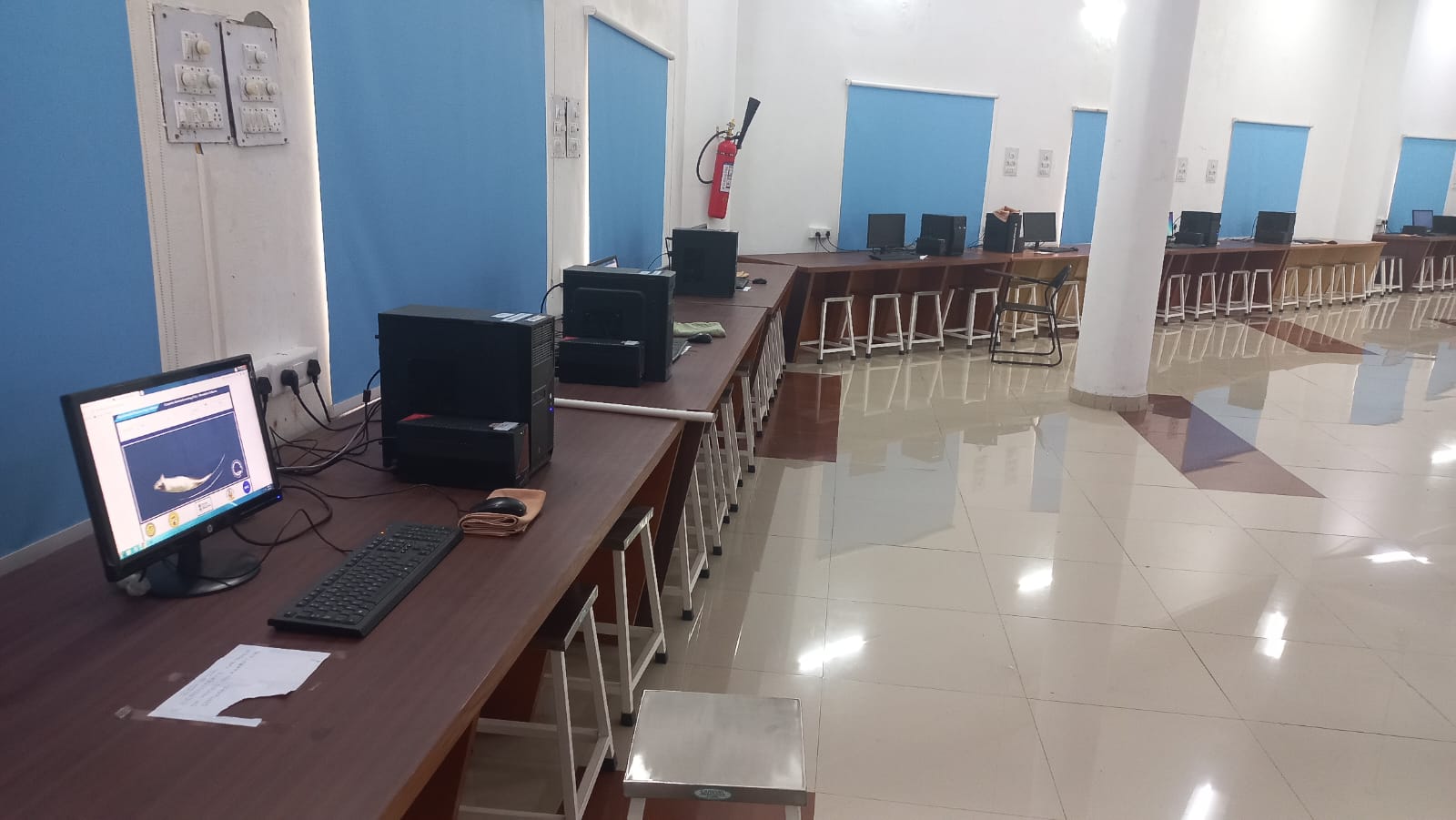 Department Image